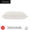 Lilysilk 100% Pure Mulberry Silk Pillowcase with Cotton Terse Pillow Cover for Hair with Hidden Zipper Hypoallergenic