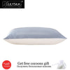 Lilysilk 100% Pure Mulberry Silk Pillowcase with Cotton Terse Pillow Cover for Hair with Hidden Zipper Hypoallergenic