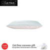 Lilysilk 100% Pure Mulberry Silk Pillowcase with Cotton Terse Pillow Cover for Hair with Hidden Zipper Hypoallergenic