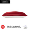 Lilysilk 100% Pure Mulberry Silk Pillowcase with Cotton Terse Pillow Cover for Hair with Hidden Zipper Hypoallergenic